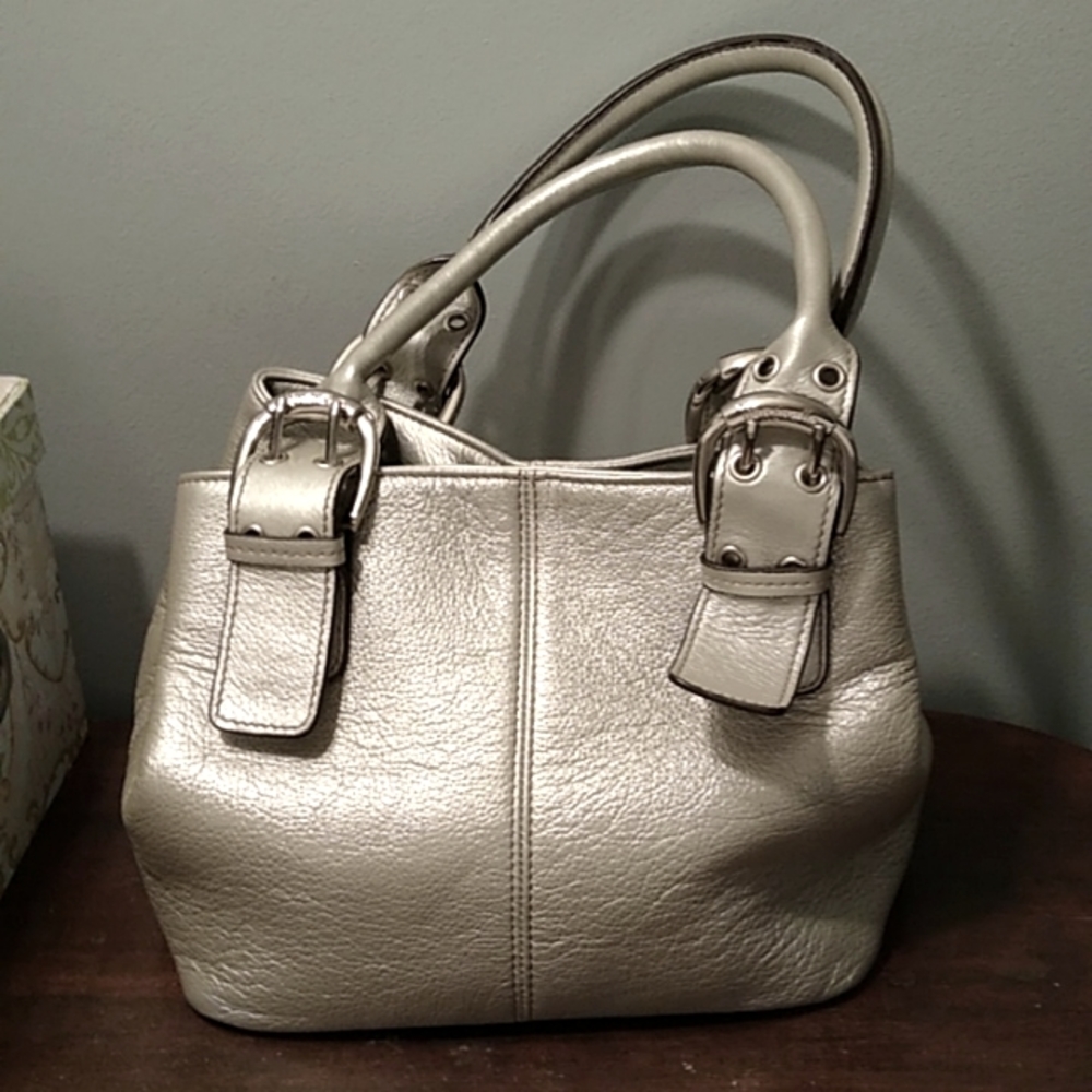 TIGNANELLO LEATHER METALLIC SILVER BAG